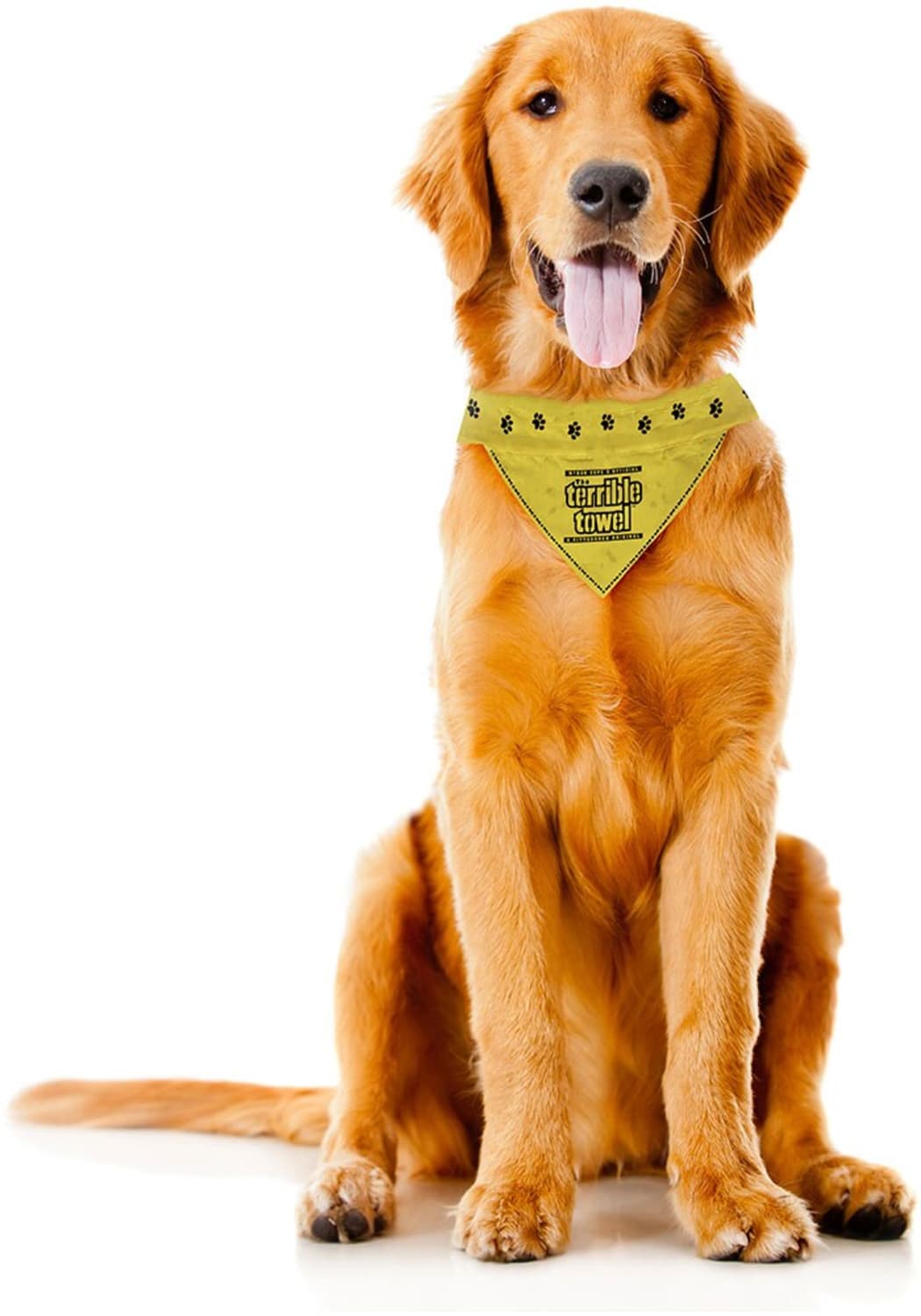 Pittsburgh Steelers Terrible Towel Pet Bandana – Reversible | NFL Licensed Gear