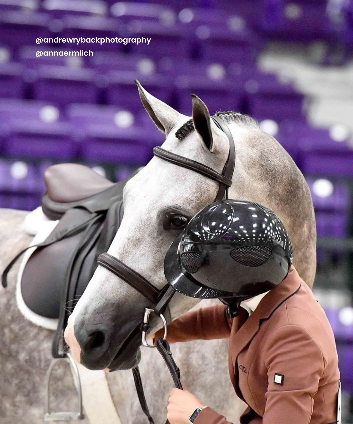 Replacement Noseband of ExionPro 'Hercules' Padded Hunter Bridle