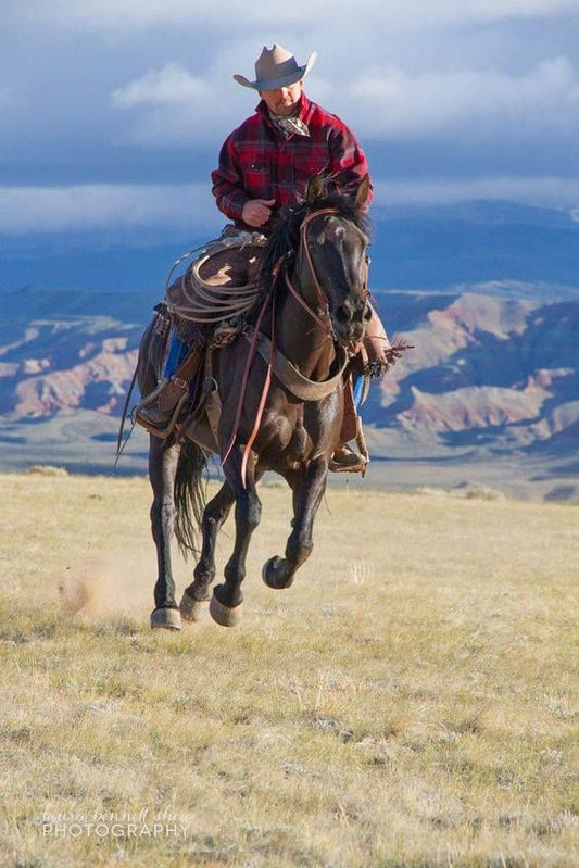 Cowboy Knife Sheath - Damascus & Antler Western Set