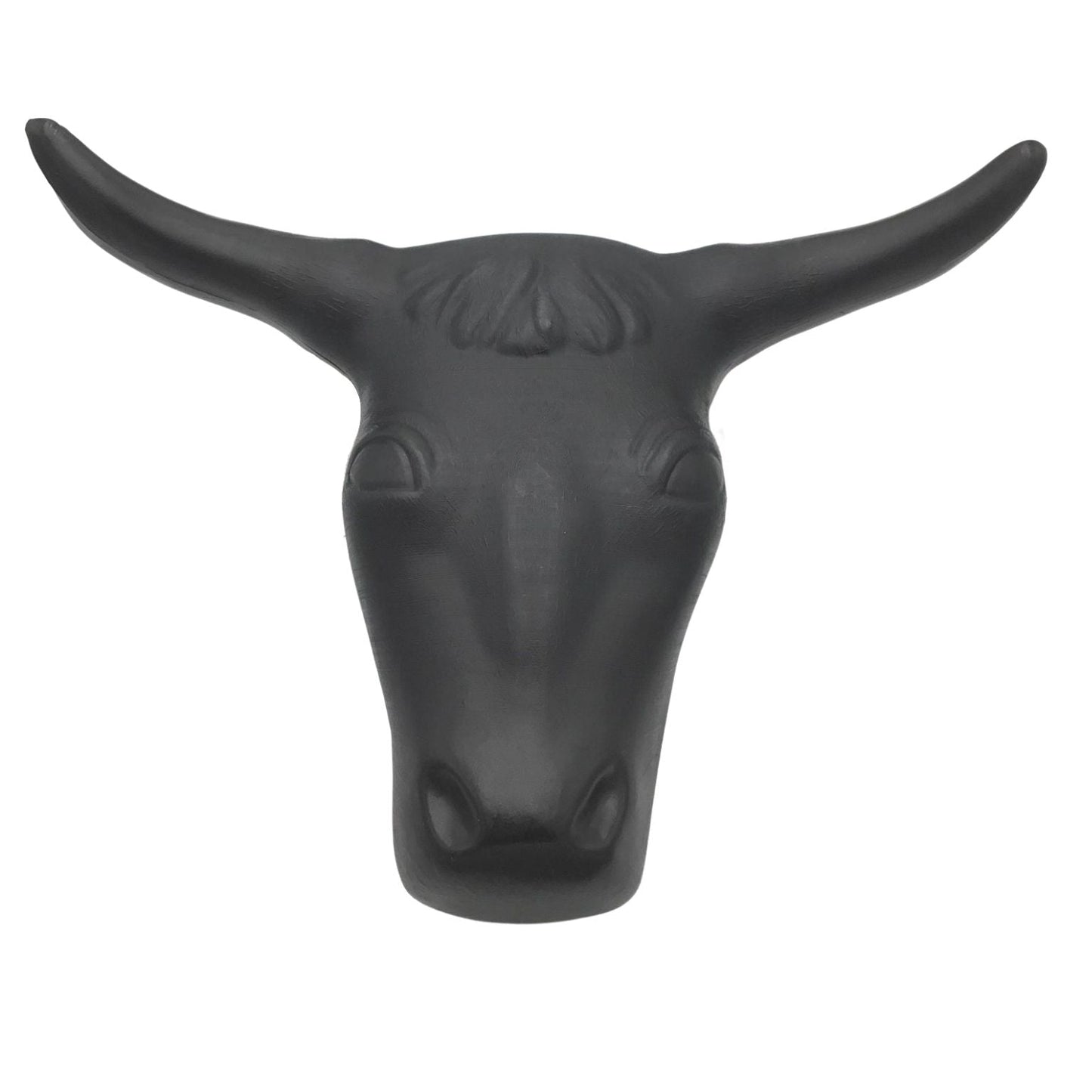 Practice Steer Head