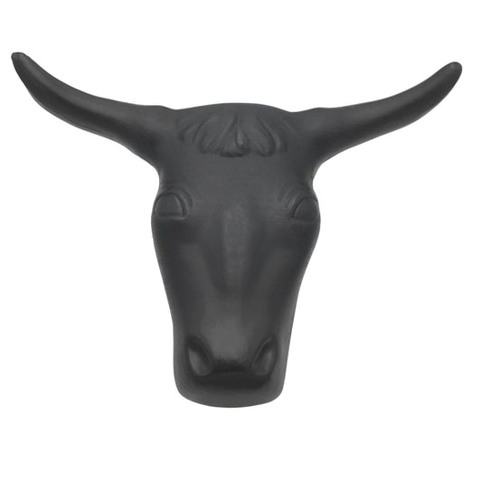 Practice Steer Head