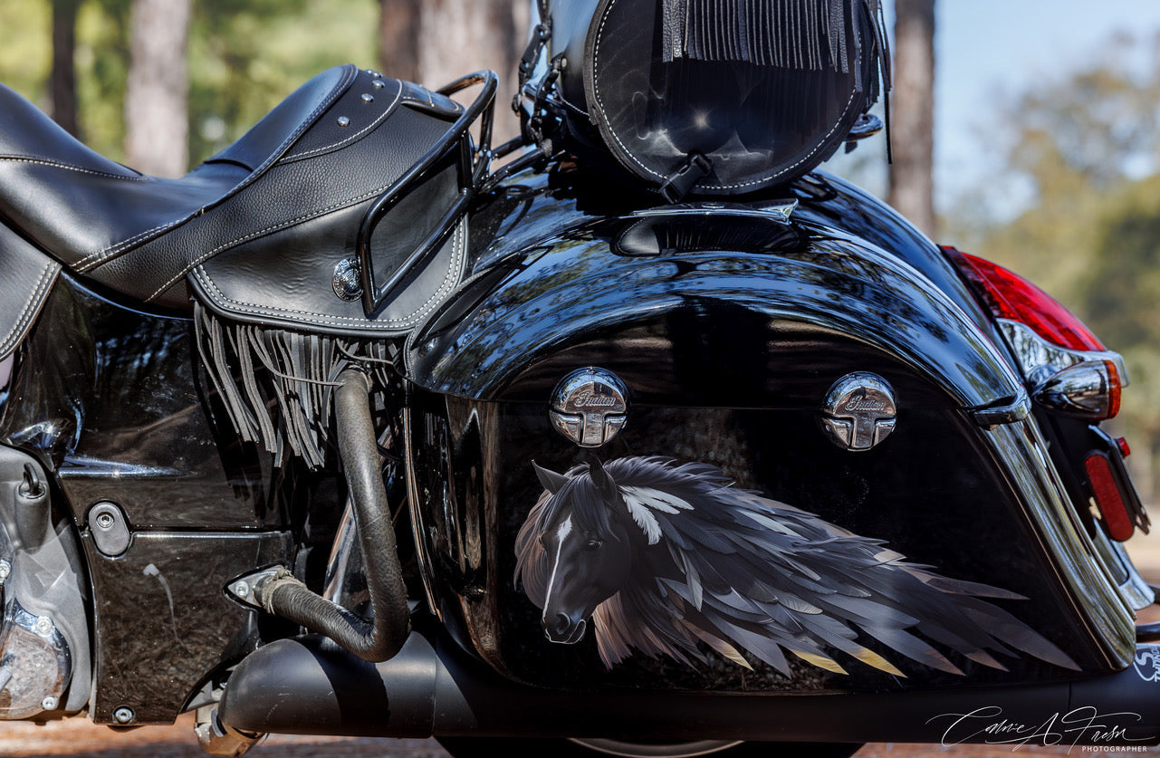 Dark Horse 2023 (color) Saddlebag Decal Set for Indian Motorcycles