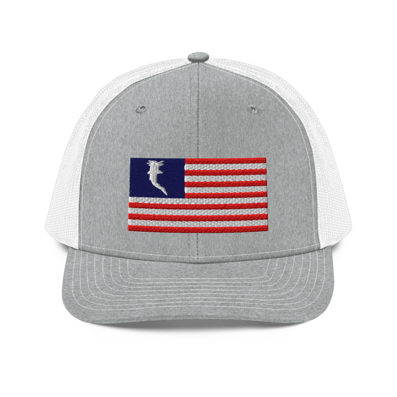 Flag Embroidered RWB (Snapback)