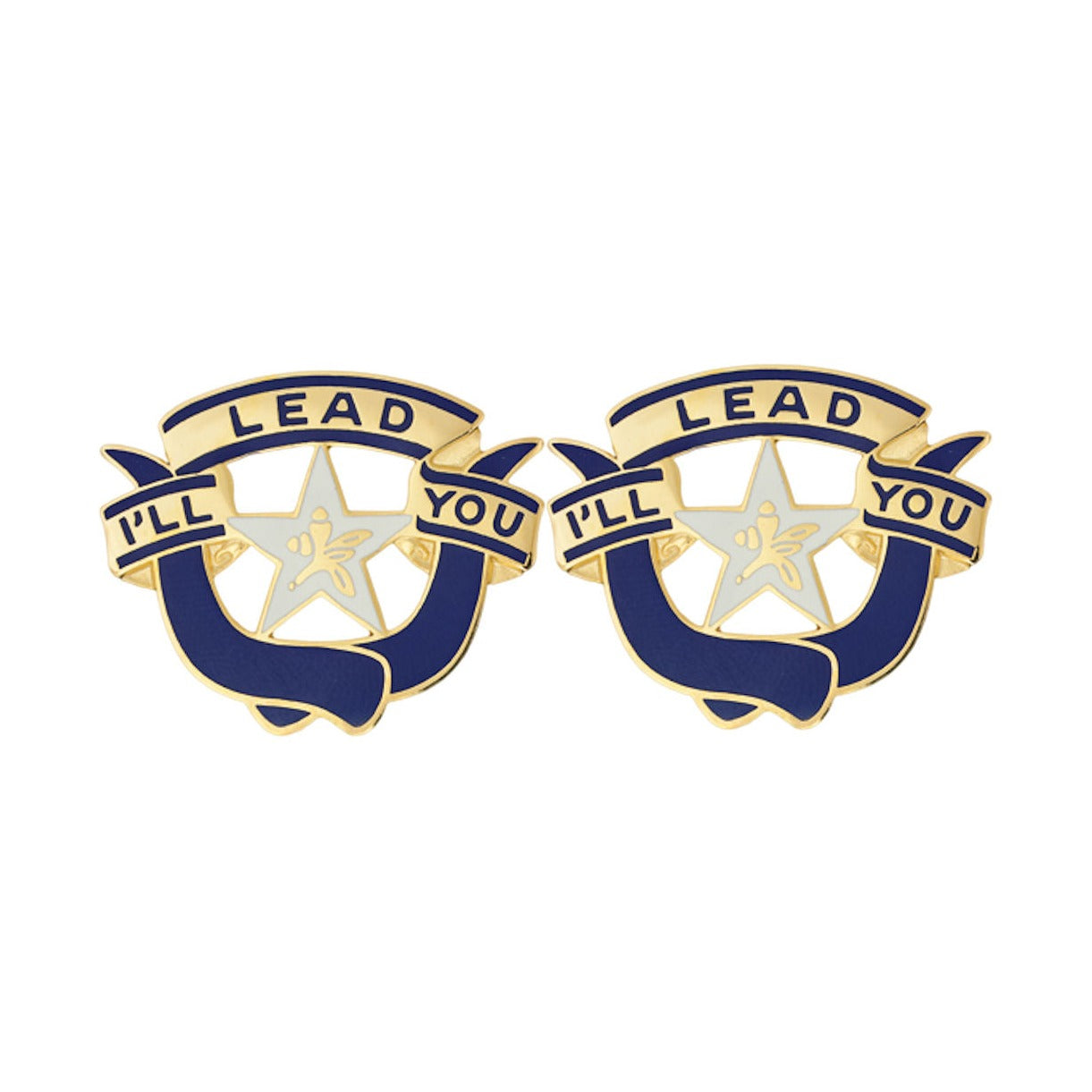36th Brigade Distinctive Unit Insignia - Pair - I'll Lead You