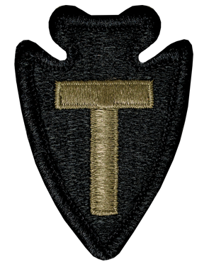36th Infantry Division OCP Patch - U.S. Army Patch