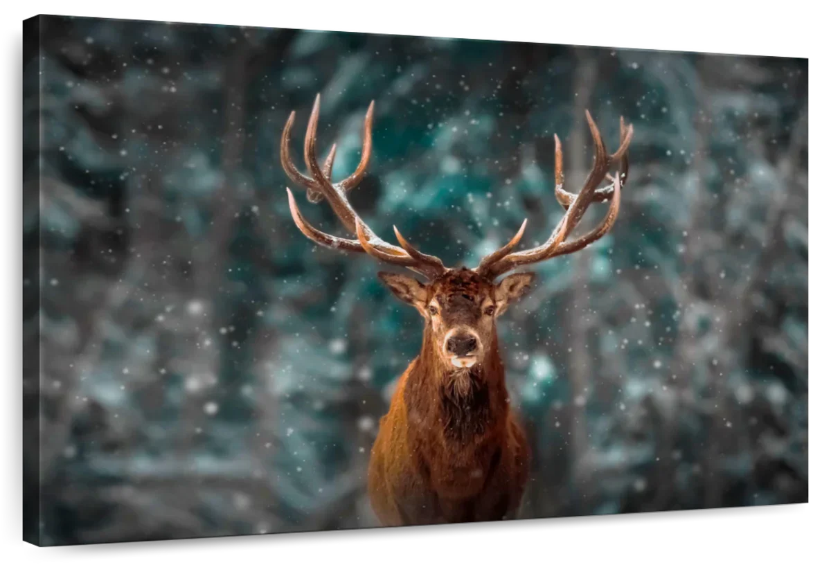 Snowy Noble Deer Wall Art