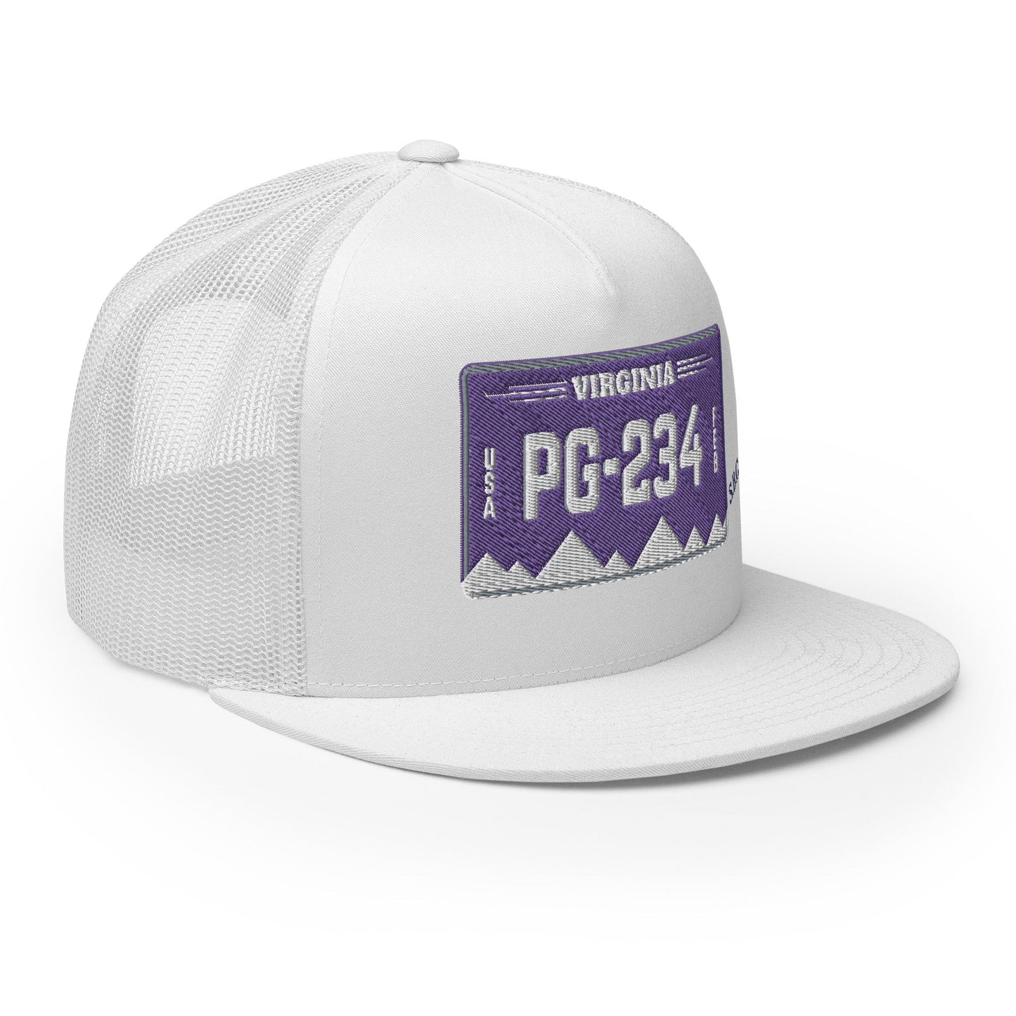 Virginia License Plate Hat