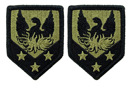 110th Maneuver Enhancement Brigade OCP Patch - U.S. Army Patch - 2 PACK