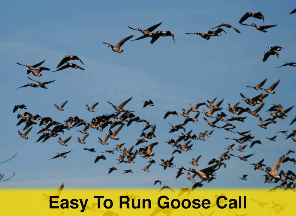 Waterfowl Goose Call - The Freezer call