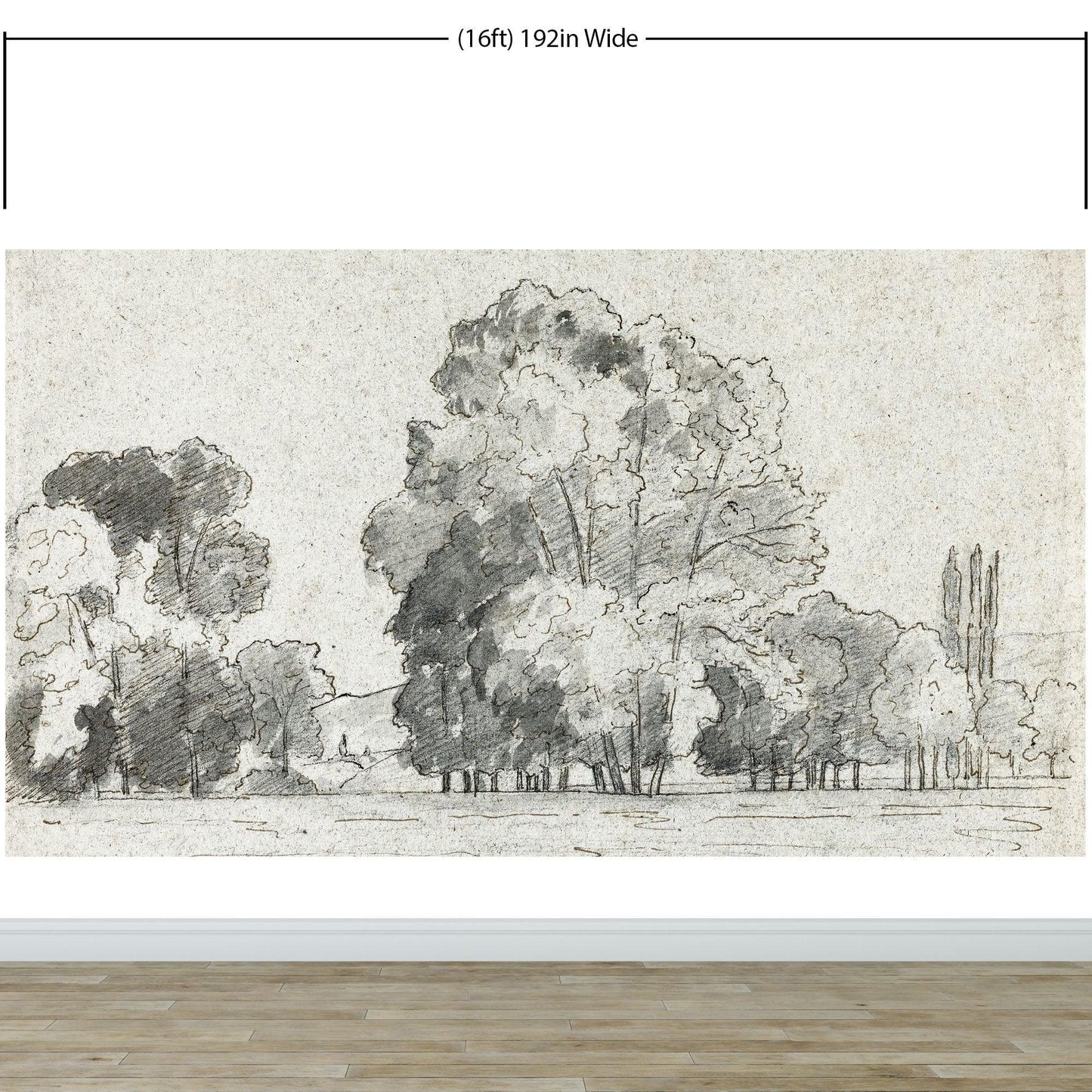 Forest Trees Wallpaper Peel and Stick Mural, Grove of Trees Drawing by Camille Pissarro. #6344