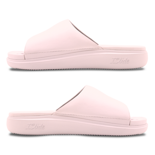 Cape Cod Outline Motive