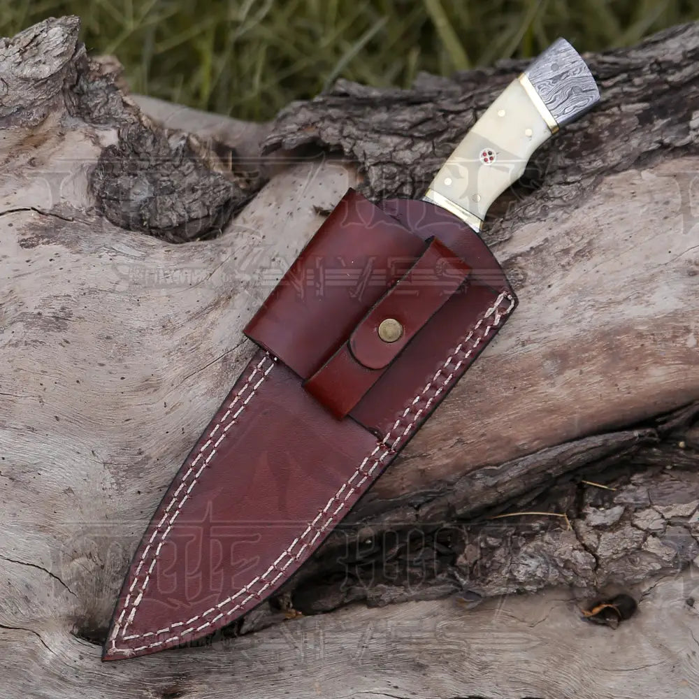 8.5” Hand Forged Damascus Steel Full Tang Skinner Knife - Camel Bone Handle - H-017