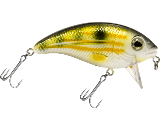 Bull Nose SW