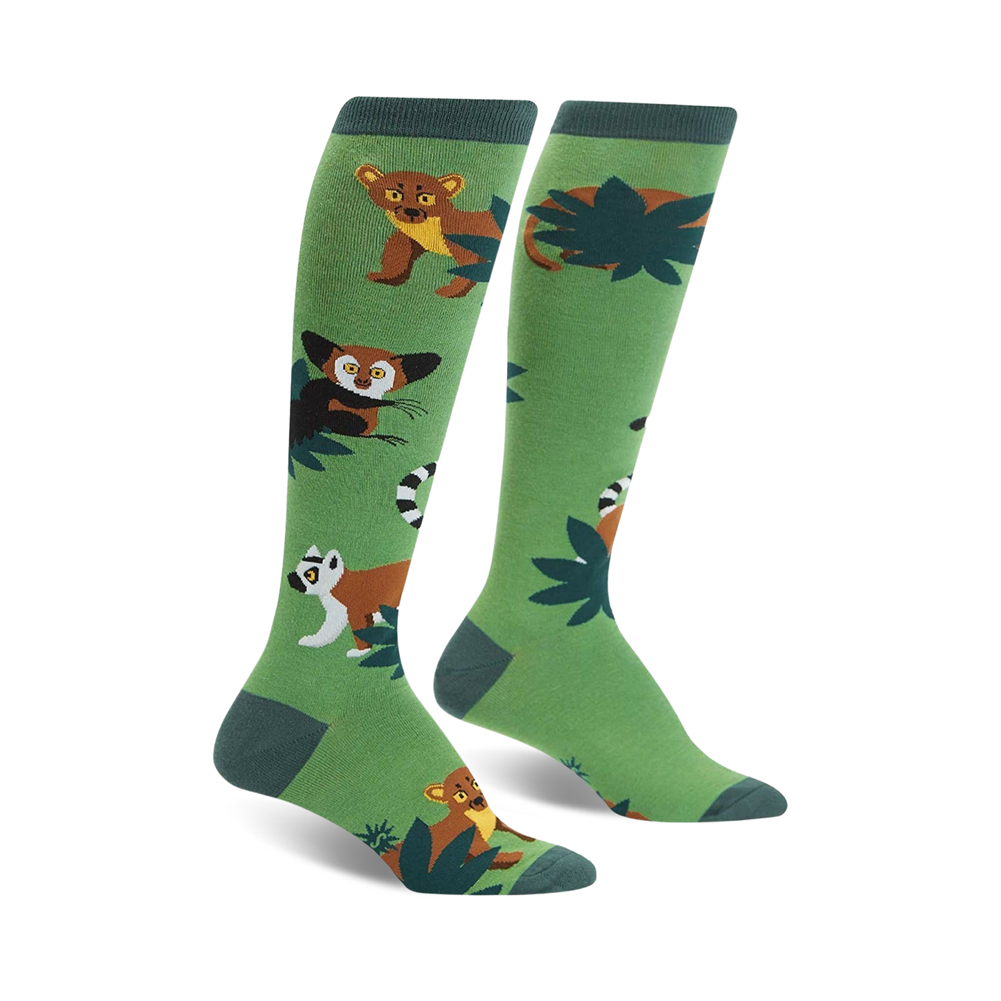 Madagascar Menagerie