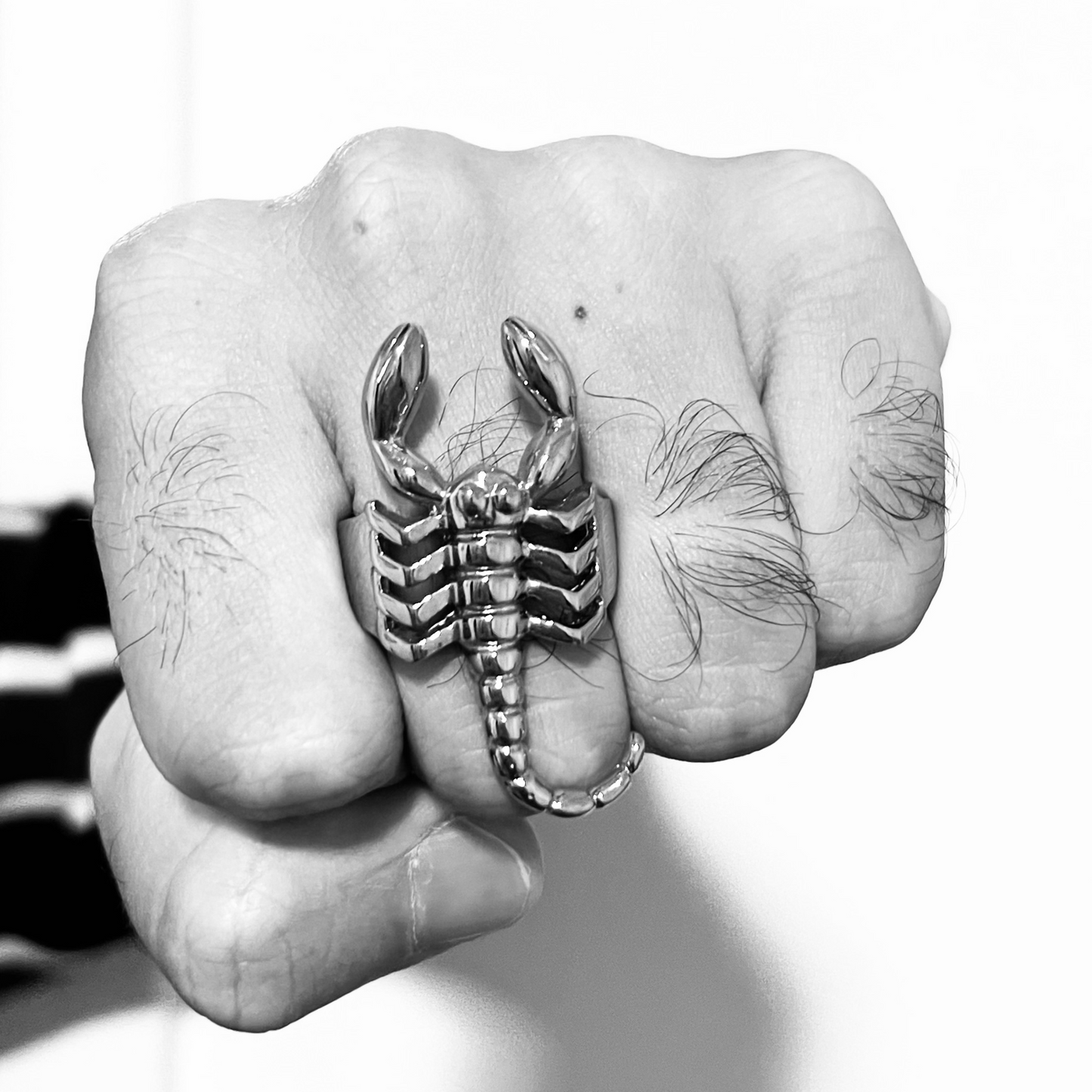 Stainless Steel Scorpion Ring