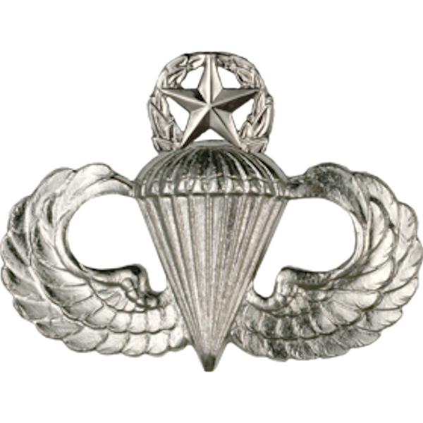 Air Force Badge - Parachutist
