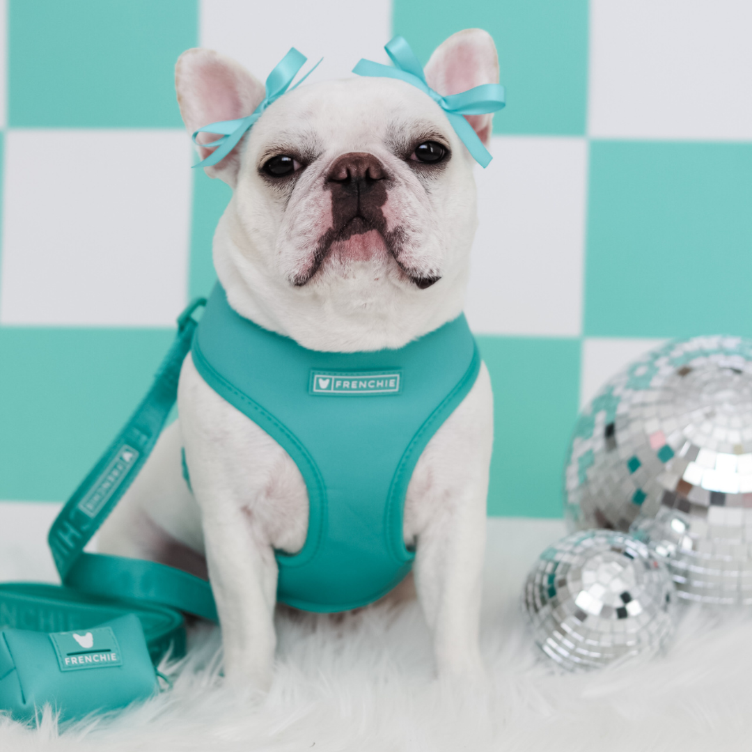 Frenchie Poo Bag Holder - Solid Aqua