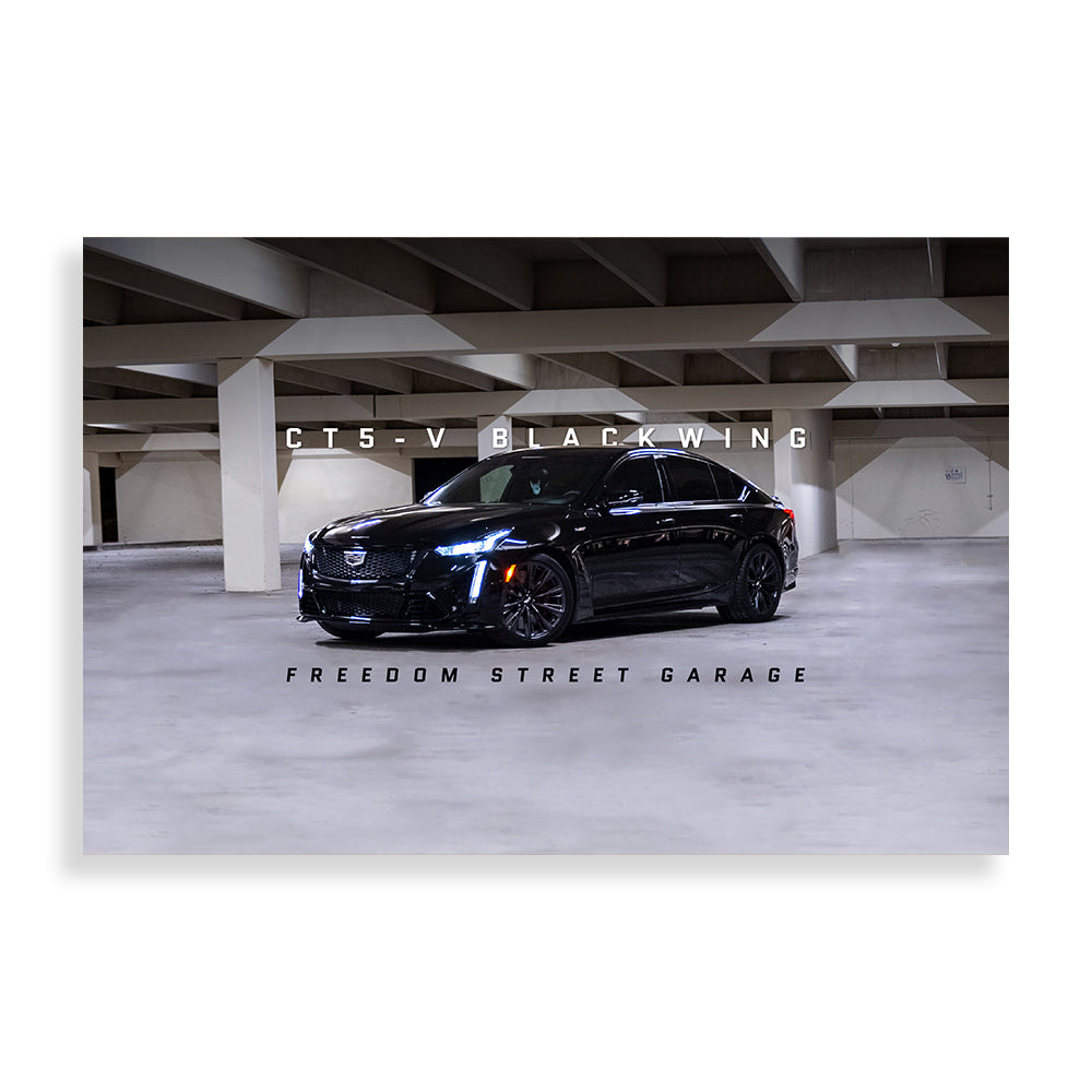 CTS-V Balance Poster