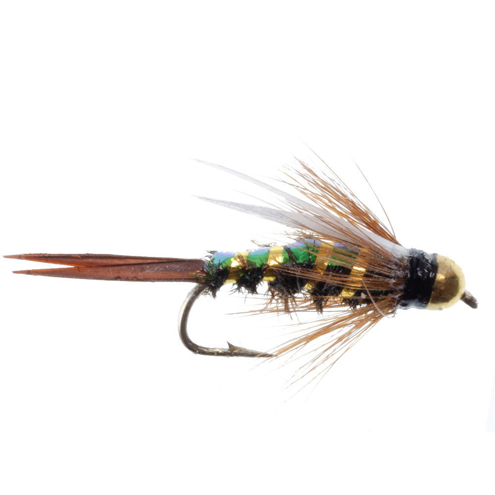 Basics Collection - Copper John - Flash Back Nymph Kit - 10 Flies #10-16