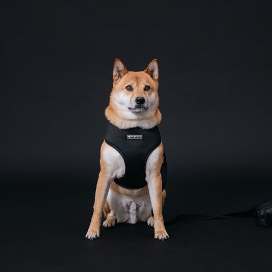 Frenchie Duo Reversible Harness - Solid Black