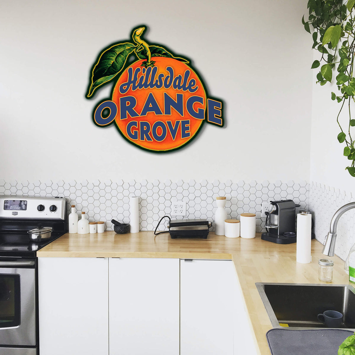 Garden Cutouts: Orange Grove - Decorative Plaque