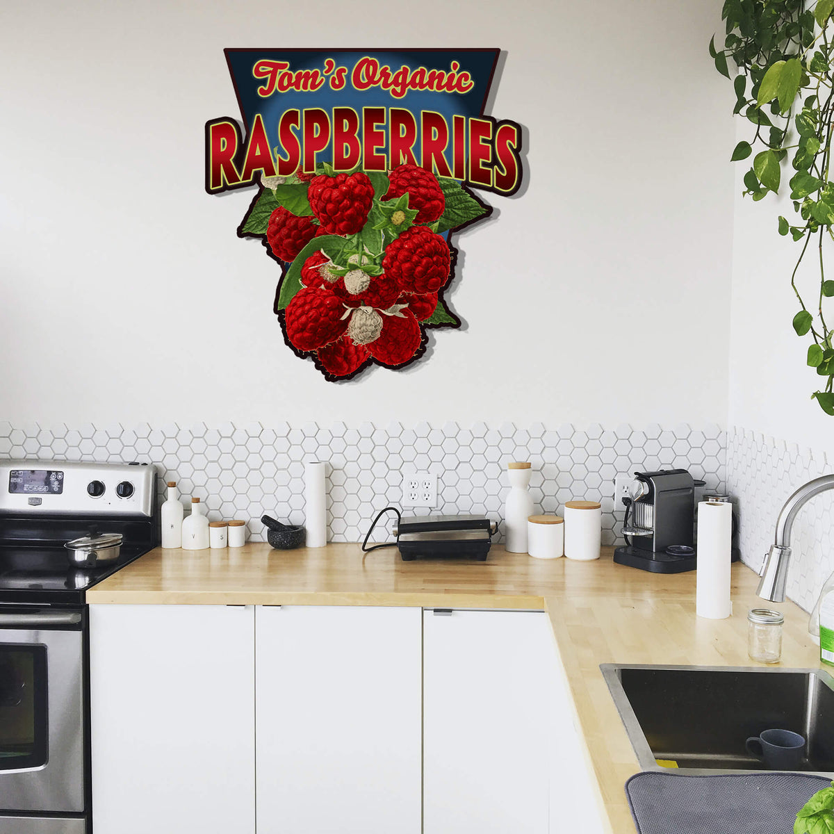 Garden Cutouts: Raspberries - Decorative Plaque