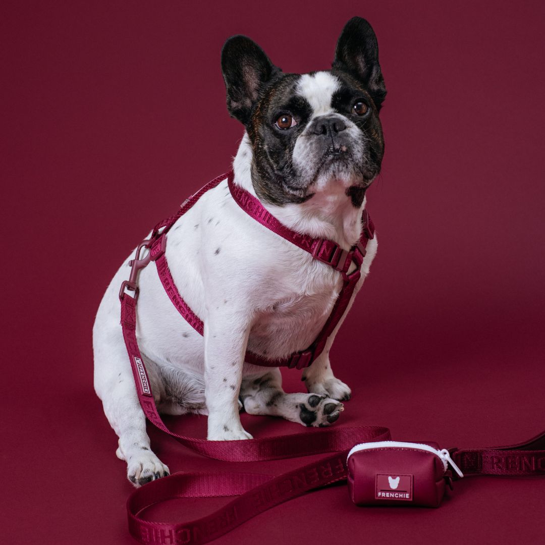 Frenchie Poo Bag Holder - Solid Ruby