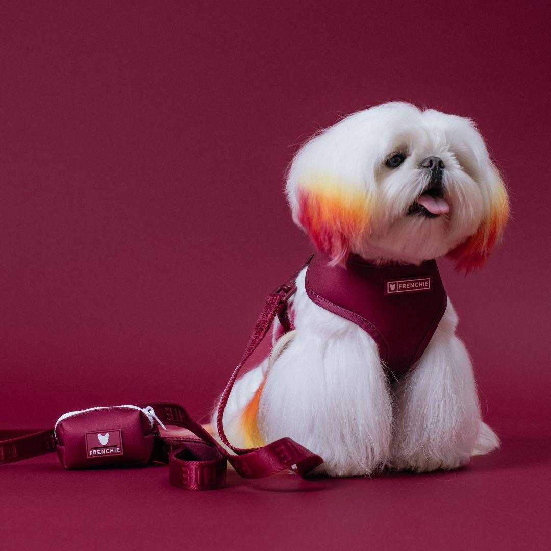 Frenchie Duo Reversible Harness - Solid Ruby