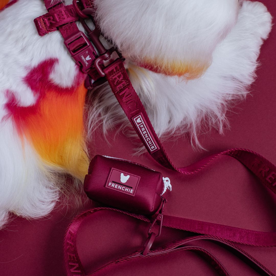 Frenchie Comfort Leash - Solid Ruby