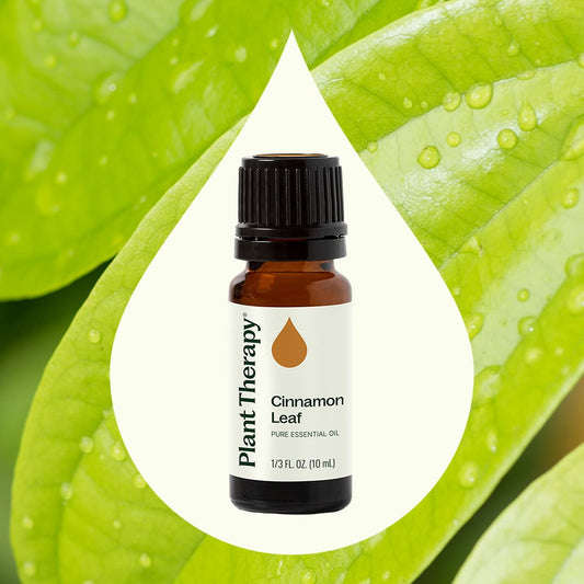 Cinnamon Leaf Essential Oil