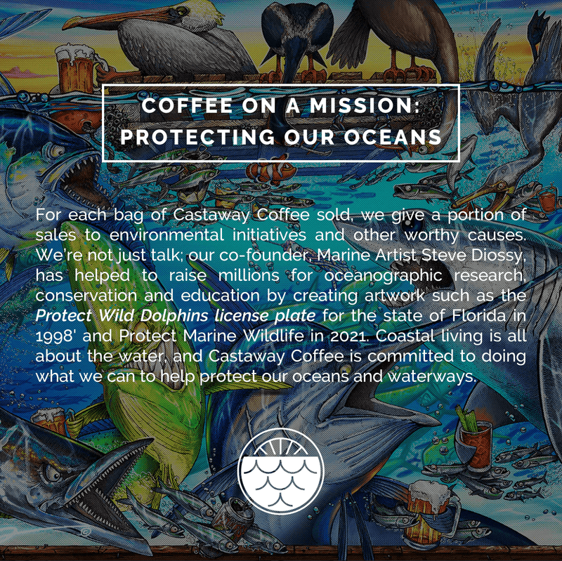 Castaway Coffee Dark Roast K-Cup Pod 12 Count