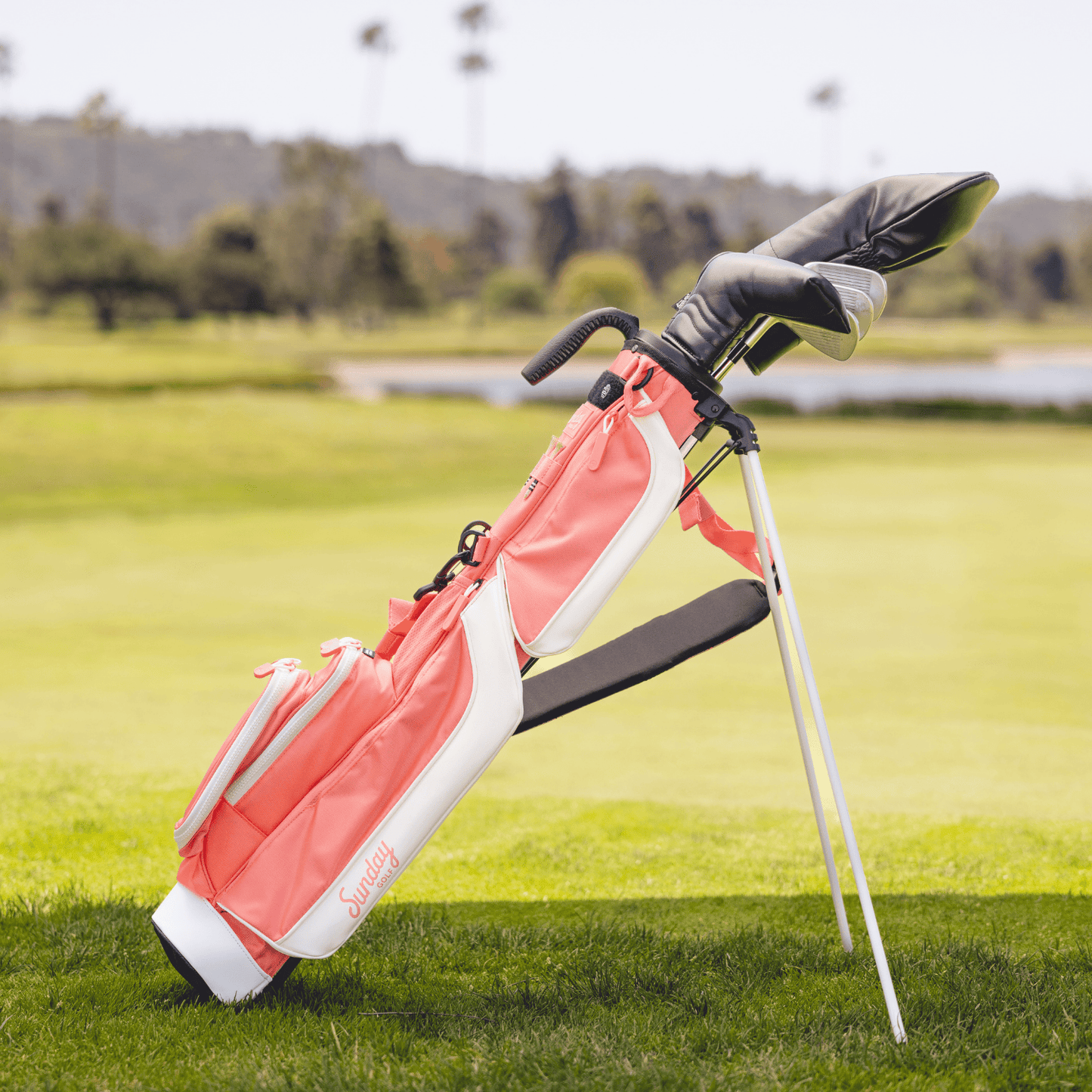 The Loma | Coral Reef Par 3 Bag