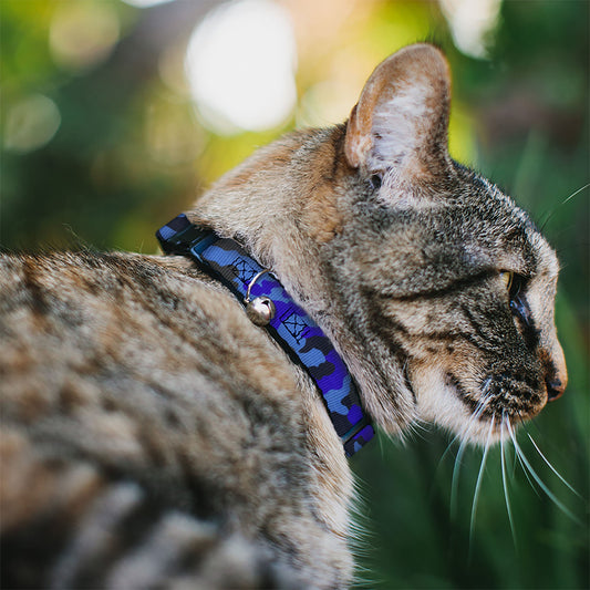 Cat Collar Breakaway - Camo Blue
