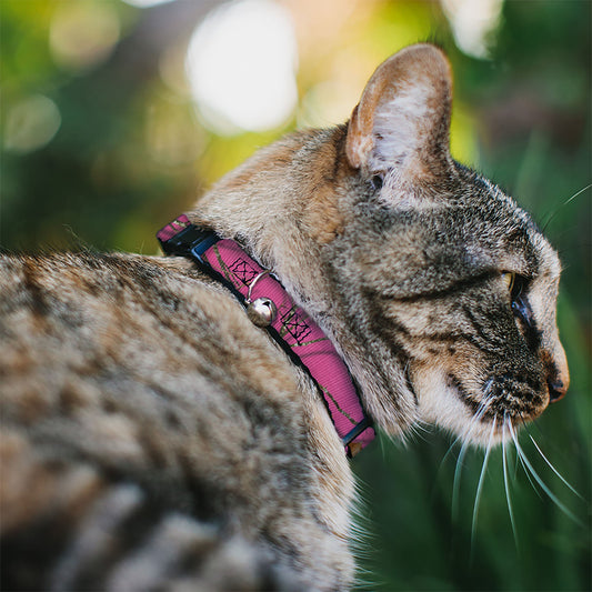 Cat Collar Breakaway - Mossy Oak Country Roots Camo Fuchsia