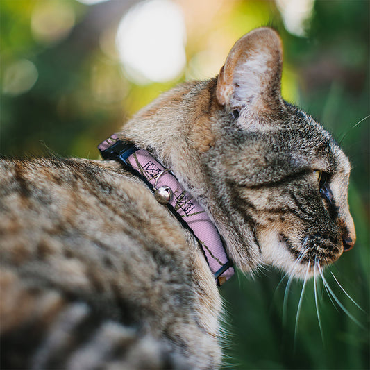 Cat Collar Breakaway - Mossy Oak Country Roots Camo Baby Pink