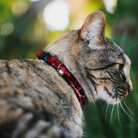 Cat Collar Breakaway - Mossy Oak Elements Crimson Agua Camo Red
