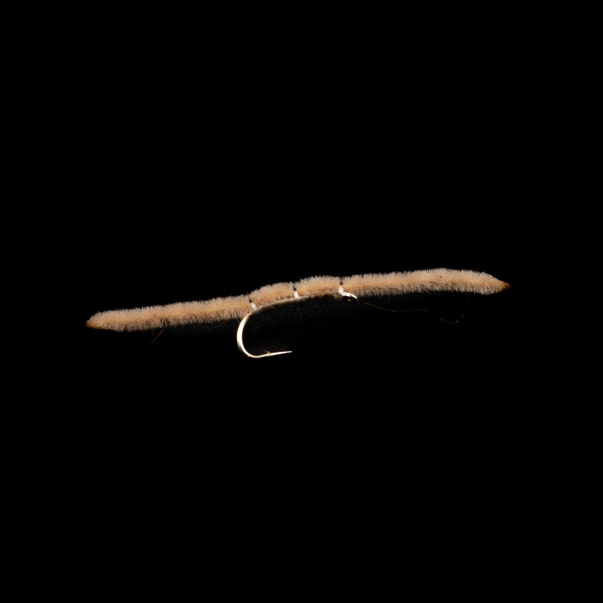 San Juan Worm – FINATICS