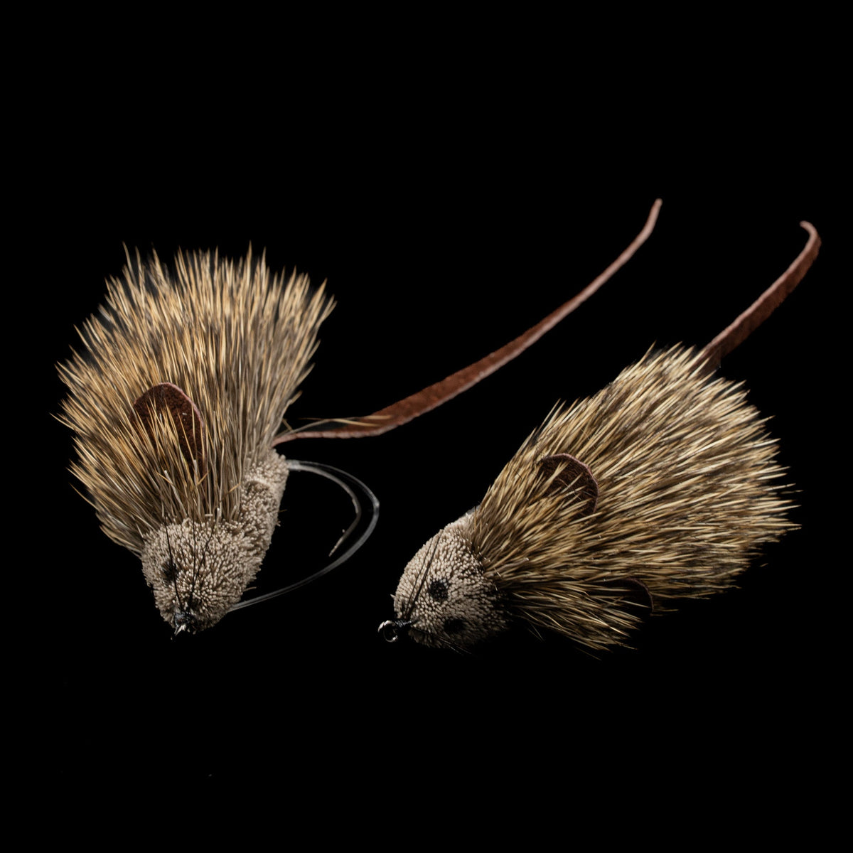 Swamp Rat – Mouse Fly (Size #2)