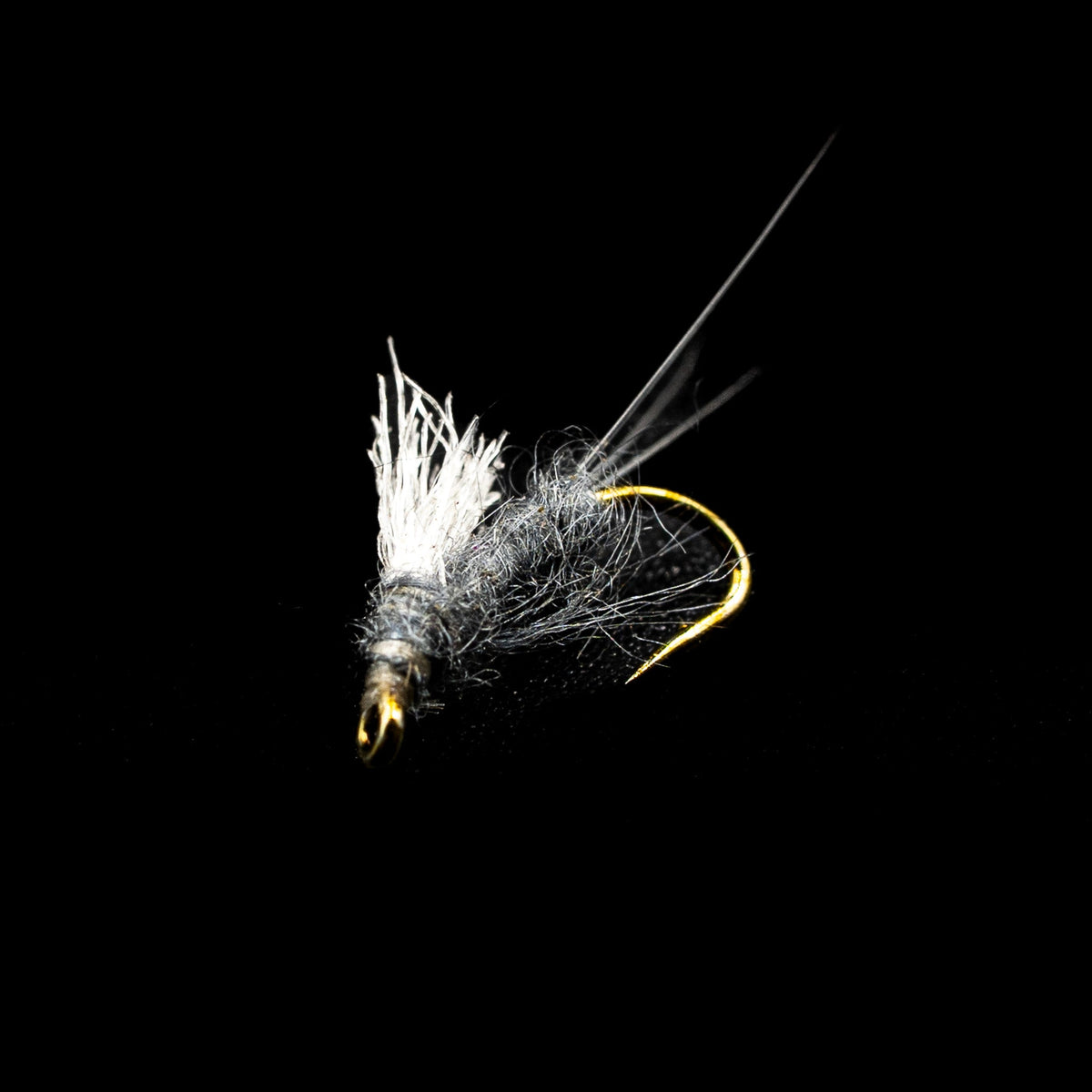 RS2 Nymph – FINATICS