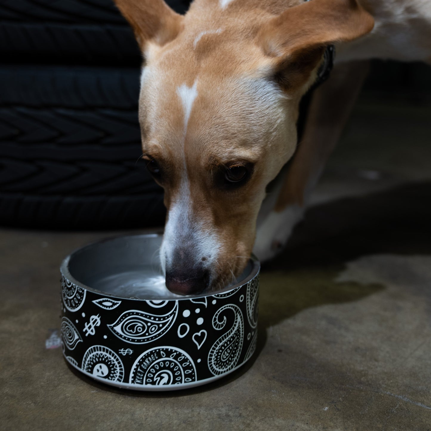 OG Bandito Pet Bowl