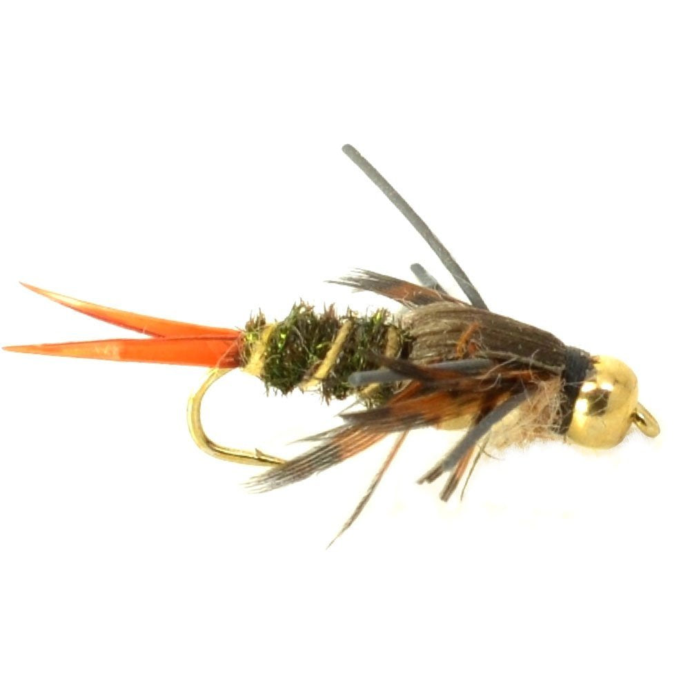 Basics Collection - Double Bead Nymph Assortment - 10 Flies - Size 10