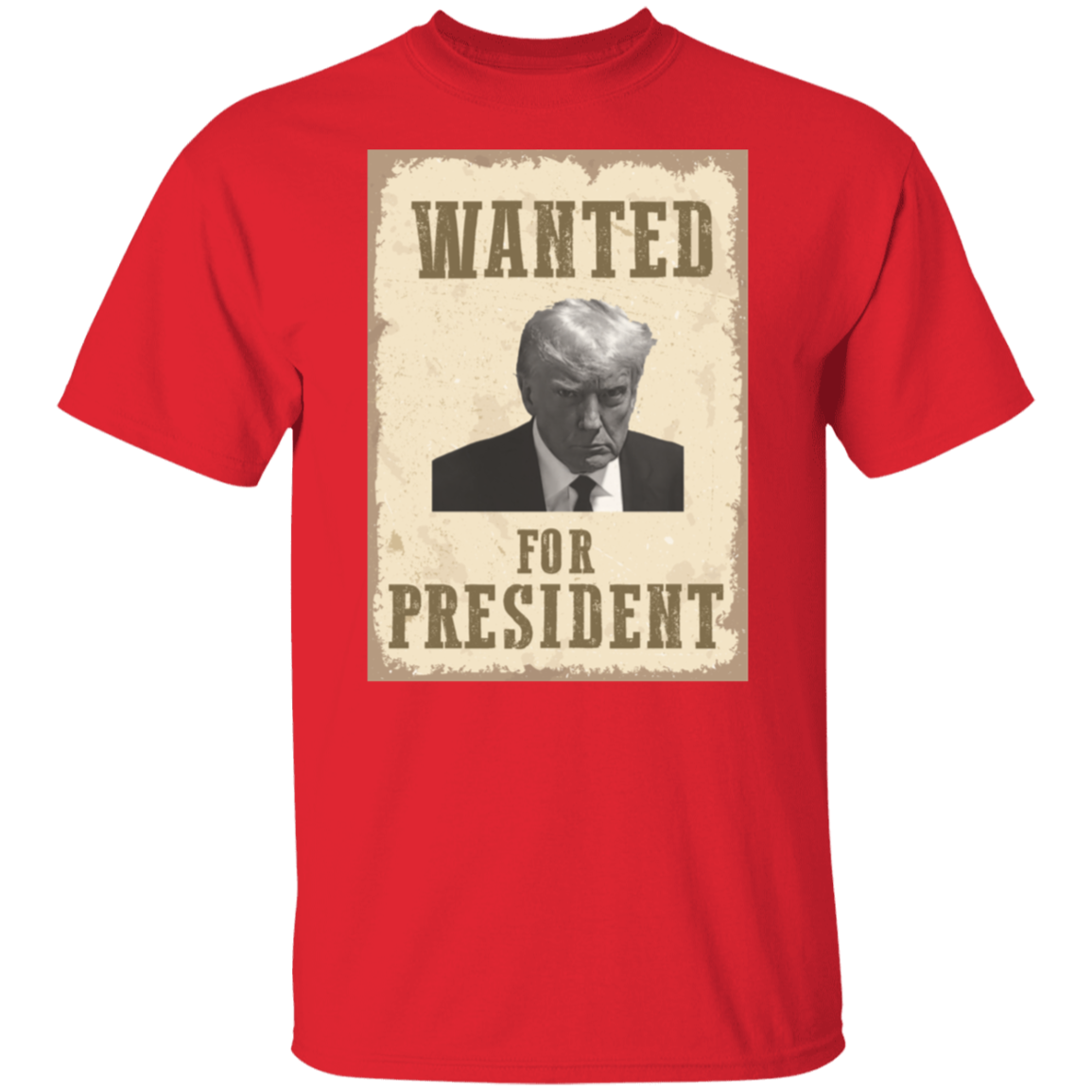 Wanted For President