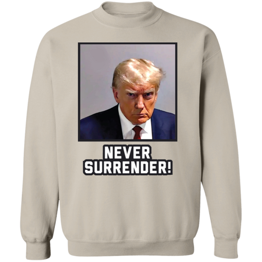 Never Surrender Sweatshirt