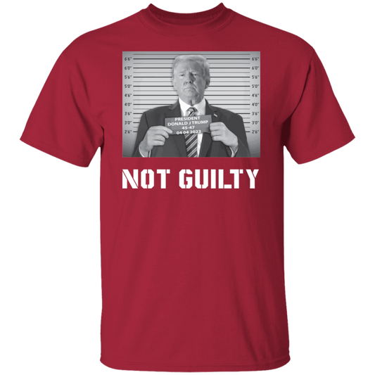 Not Guilty