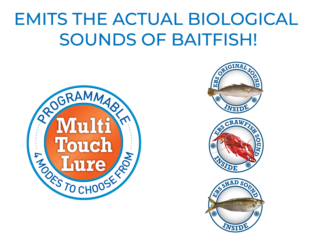 Sale Item - Walking Boss II