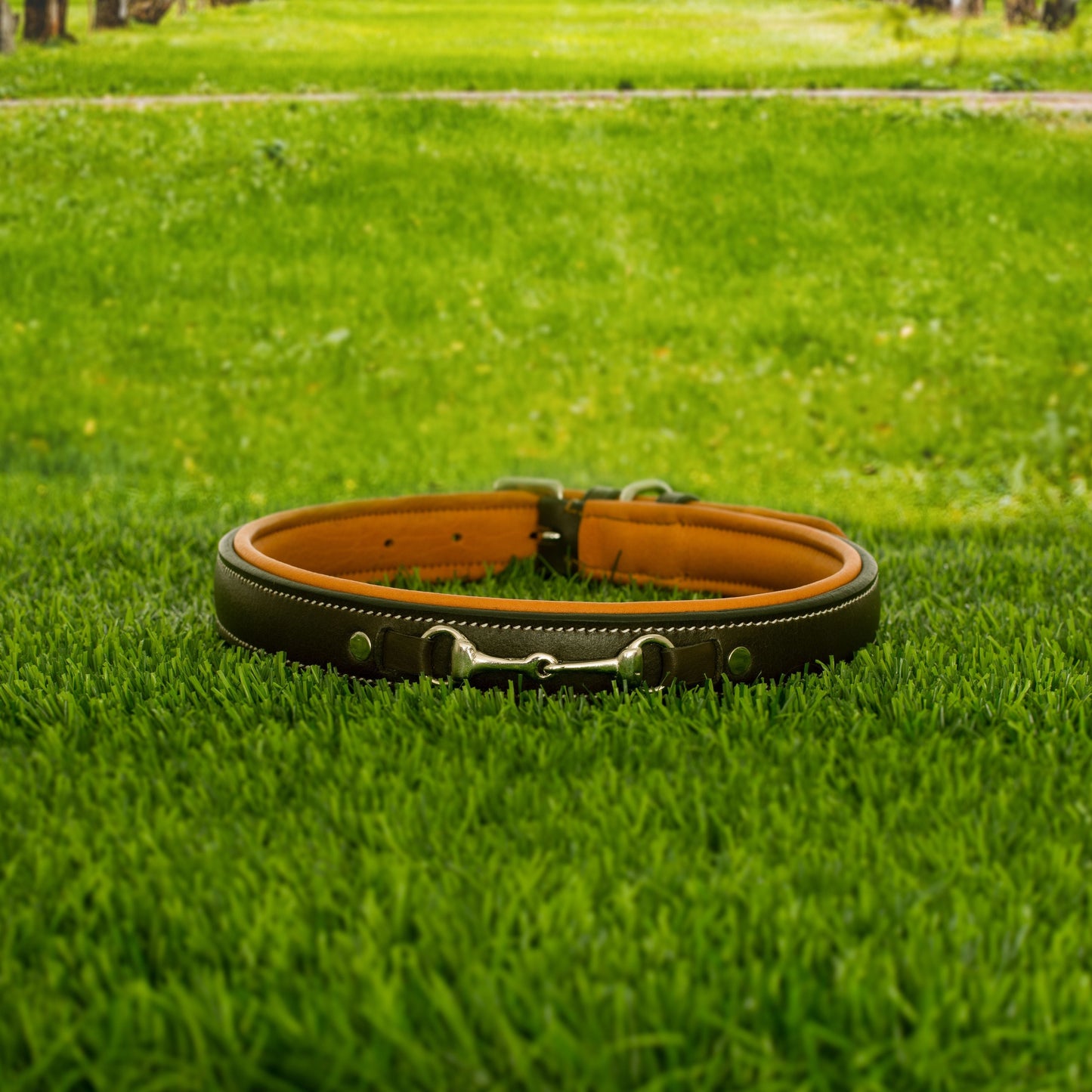 ExionPro Silver Snaffle Padded Leather Dog Collar - Conker Padding