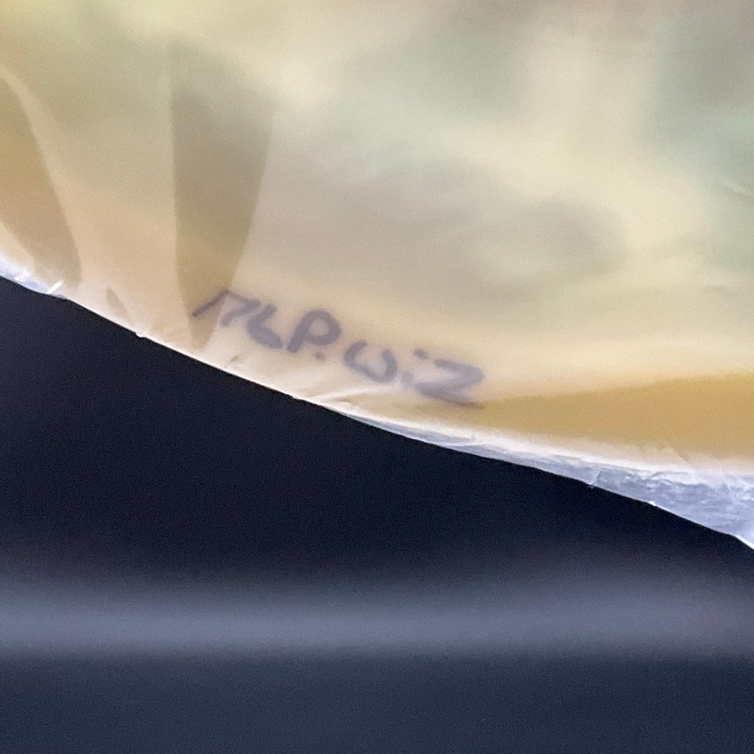 Platinum Wizard - *Scans' Stash* "Standing in Mist" Michael Barnard LE