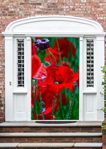 Poppy Art