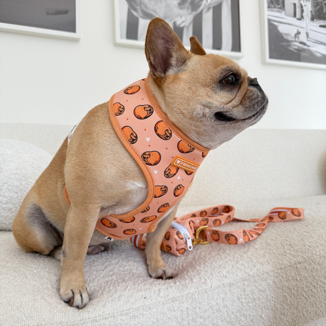Frenchie Duo Reversible Harness - French Potato