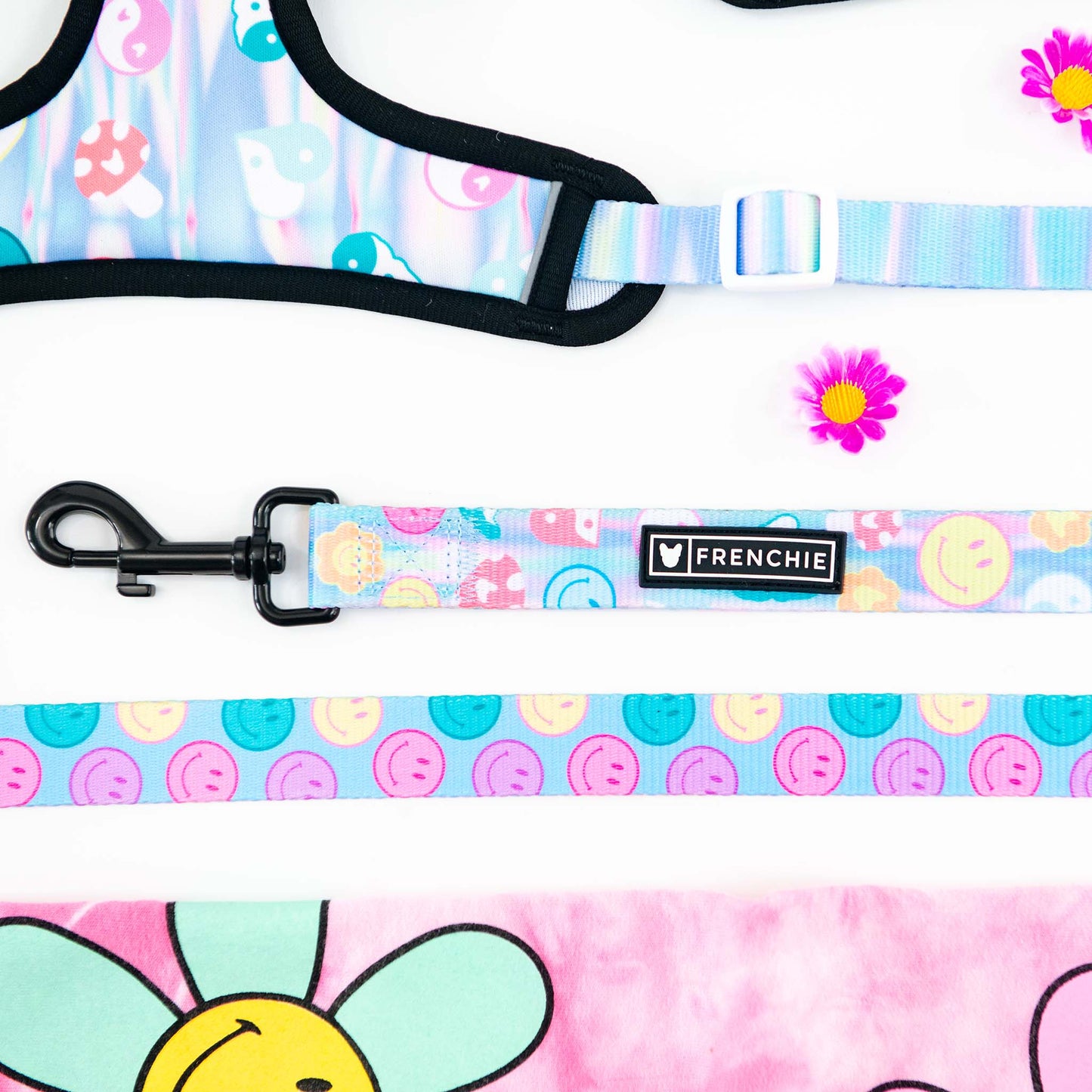 Frenchie Comfort Leash - Good Vibes